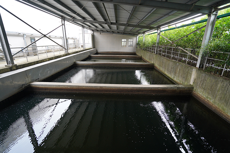  反硝化滤池深度处理工艺与成套技术