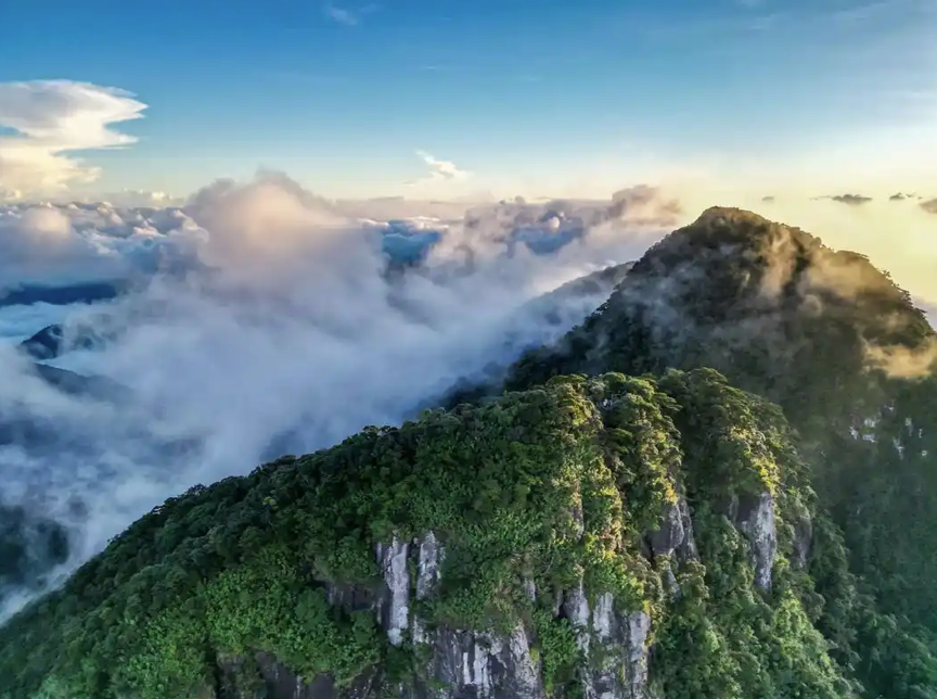 屏幕截图 2024-11-15 150135.png