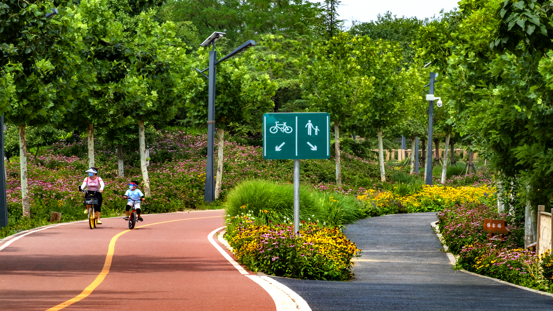 亦庄凉水河森林公园 (1).jpg